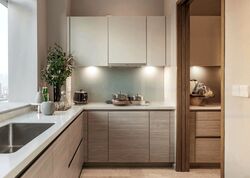 V On Shenton (D1), Apartment #483453551